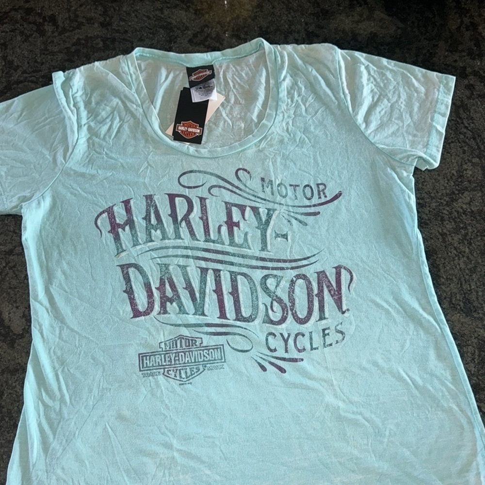 HARLEY DAVIDSON DAYTONA V NECK T SHIRT